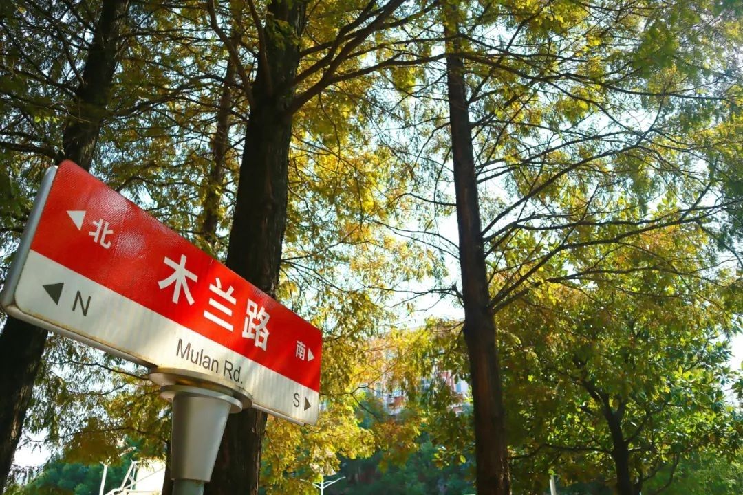 英国威廉希尔公司