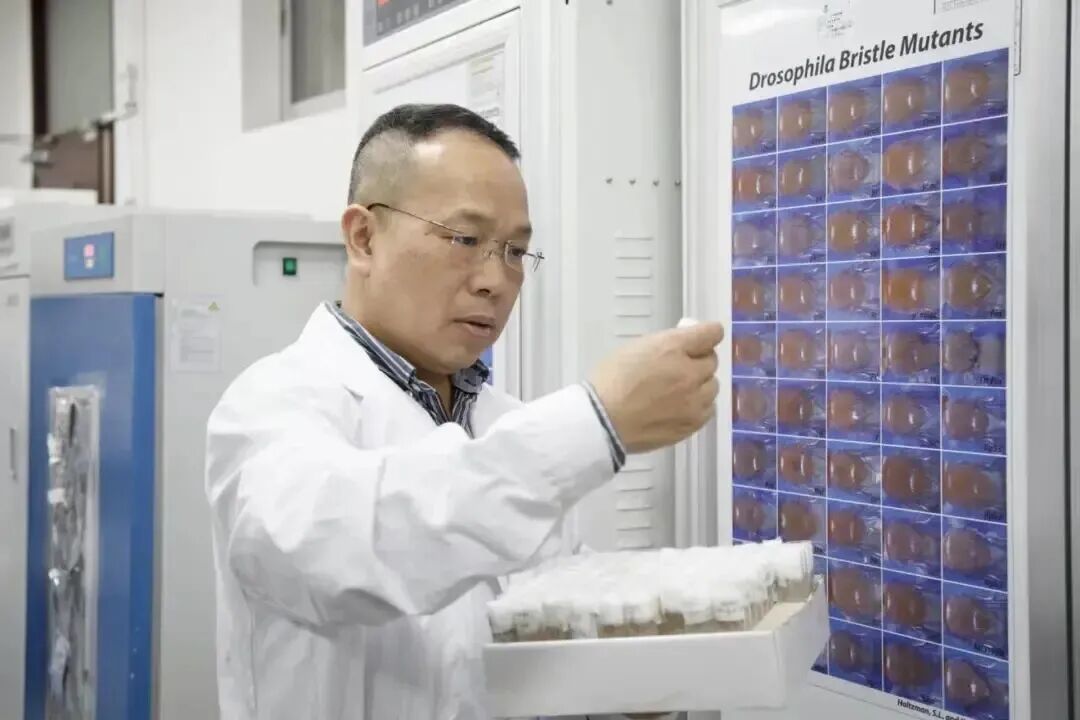 英国威廉希尔公司
